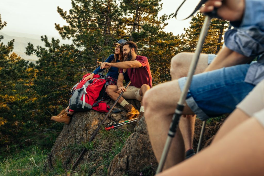 Curiosity is the best guide